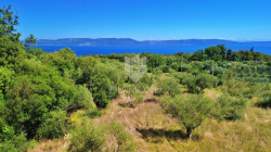 /c_images/thumb_3645878_1_1757070814_dji_0531.jpg
