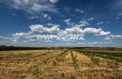 /c_images/thumb_3646507_1_ion-image-site-8-agency-dvazvona-img-ex7h2pz8su-img-6291.jpg