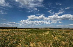 /c_images/thumb_3646507_2_ion-image-site-8-agency-dvazvona-img-r02uyixx4h-img-6292.jpg