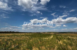 /c_images/thumb_3646507_3_ion-image-site-8-agency-dvazvona-img-kvik6fgkxi-img-6294.jpg