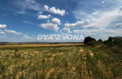 /c_images/thumb_3646507_4_ion-image-site-8-agency-dvazvona-img-un8b2wqye6-img-6293.jpg