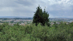 /c_images/thumb_3648163_1_property_image_1qafdhzvbs_20250908020031.jpg