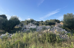 /c_images/thumb_3649951_1_7585739_gradevinsko-zemljiste-krk-730-m2-slika-257653268.jpg