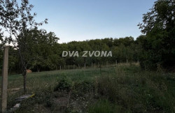 /c_images/thumb_3652686_1_tion-image-site-8-agency-dvazvona-img-hd3cemkham-image0.jpeg