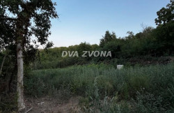 /c_images/thumb_3652686_2_tion-image-site-8-agency-dvazvona-img-emfvomivm8-image2.jpeg