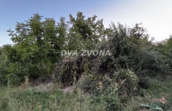 /c_images/thumb_3652687_2_tion-image-site-8-agency-dvazvona-img-04u8762406-image1.jpeg