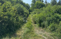 /c_images/thumb_3654853_4_1758142889_vanja-kod-zone-4.jpeg
