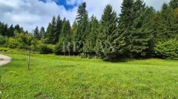 /c_images/thumb_3656314_1_1758271166_gorski-kotar-gradevinsko-zemljiste-3.jpg