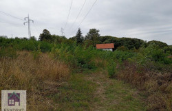/c_images/thumb_3661657_2_vadratobrenovac-img-urquxoq4um-photo-2025-09-26-13-24-32.jpg