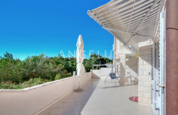 /c_images/thumb_3662922_2_1760267803_2_taraca_1.jpg