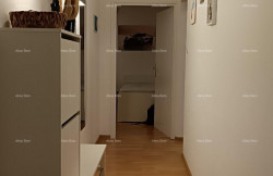 /c_images/thumb_3667775_3_9zdusvyfkxkhmhg5kibi.jpg