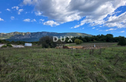 /c_images/thumb_3668620_3_1759864006_istra-gradevinsko-zemljiste-prodaja-41.jpg