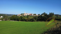 /c_images/thumb_3669037_3_tnine-pistacio-oprtalj-teren-land-terreno-zemljiste-5-1.jpeg