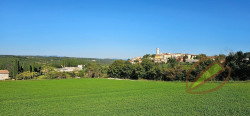 /c_images/thumb_3669037_4_tnine-pistacio-oprtalj-teren-land-terreno-zemljiste-6-1.jpeg