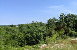 /c_images/thumb_3669053_1_Nekretnine-pistacio-zemljiste-1.jpg