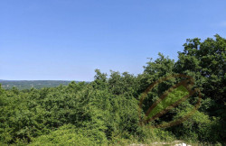 /c_images/thumb_3669053_3_Nekretnine-pistacio-zemljiste-3.jpg