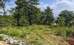 /c_images/thumb_3669056_3_land-teren-zemljiste-dozvola-permit-edilizia-3.jpg