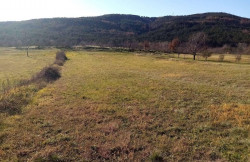 /c_images/thumb_3669061_2_Istra-Gradevinsko-zemljiste-u-srcu-prirode-1-1.jpg