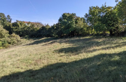 /c_images/thumb_3669069_1_nekretnine-centralna-istra-zemljiste-land-1-1.jpg