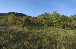 /c_images/thumb_3669072_1_Istra-Paz-veliko-poljoprivredno-zemljiste-2.jpg