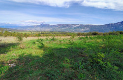 /c_images/thumb_3669076_3_labin-krsan-zemljiste-3-1.jpg