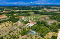 /c_images/thumb_3670350_4_1759835600_dji_20250718113157_0046_d.jpg