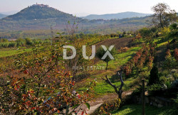 /c_images/thumb_3671335_2_1708695212_istra-motovun-gradevinsko-zemljiste-prodaja-1.jpg