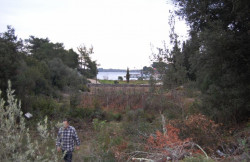 /c_images/thumb_3671704_3_Land-for-sale-on-island-Dugi-Otok-1.jpg