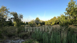 /c_images/thumb_3672254_4_76dd9e7d695f27fa042e12cc8110a4a7fafbe903.jpg