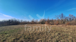 /c_images/thumb_3672477_3_df1ed999576c8bbe9a56de5f039301f37bf254a4.jpg