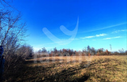 /c_images/thumb_3672479_4_087aa2c4d51d82b78cd0cecc77dc54184ece96fa.jpg