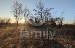 /c_images/thumb_3672484_1_864452cd609a82dbebb3bced1f7fb6ee7455f4ff.jpg