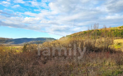 /c_images/thumb_3672503_3_17def1bdc112afa6d515a1f38faead56ac58cd6e.jpg