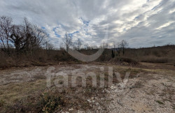/c_images/thumb_3672555_1_b23d82e6700f85024b8cdb059d173cca4de2a988.jpg