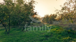 /c_images/thumb_3672681_1_f186f812fcf8149fb2ab3dc1285ccf5ad80fc75f.jpg