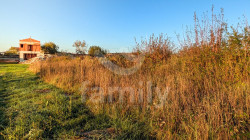 /c_images/thumb_3672692_3_b898c15196688b7eec2f7c23b2c882eb381df324.jpg