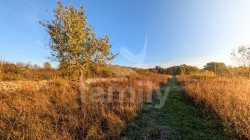 /c_images/thumb_3672692_4_69a8d7d5e14967471b698c1af529d5ae0a119f44.jpg