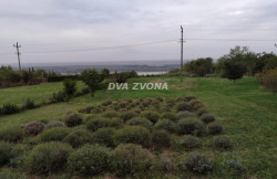 /c_images/thumb_3672846_1_ion-image-site-8-agency-dvazvona-img-fkzsrxixdj-img-6463.jpg