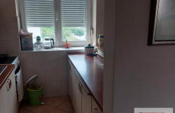 /c_images/thumb_3673128_3_-8-agency-kljucns-img-auuysdhjt3-1751441214-bf6b8e85219f.jpg