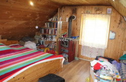 /c_images/thumb_3673163_3_mage-site-8-agency-status-img-cquwk6z6vr-img-1006-resize.jpg