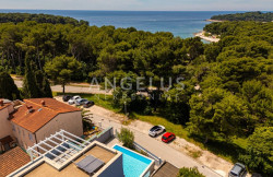 /c_images/thumb_3675974_1_1760457129__pula_114.jpg
