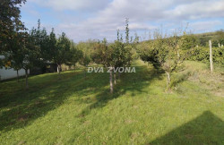 /c_images/thumb_3676227_2_ion-image-site-8-agency-dvazvona-img-70v23yvqfe-img-6540.jpg