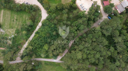 /c_images/thumb_3676446_1_1760427327_dji_0606.jpg