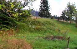 /c_images/thumb_3677614_3_1760513394_screenshot_20251009-104406_maps.jpg