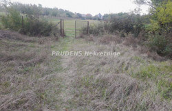 /c_images/thumb_3678225_1_p-action-image-site-8-agency-prudensnek-img-egsfntvgq4-1.jpg