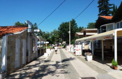 /c_images/thumb_3678349_4_Vlatka_daad06cf8fa0.jpg