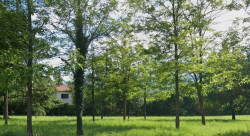 /c_images/thumb_3679101_2_casa-nekretnine-zemljiste-land-terreno-3-1.jpg