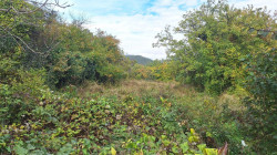 /c_images/thumb_3679128_1_property_image_1wkryg1ygv_20251016010511.jpg