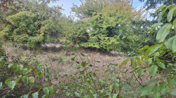 /c_images/thumb_3679128_3_property_image_151sqyusxx_20251016010524.jpg