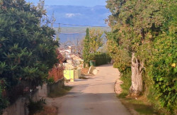 /c_images/thumb_3679292_4_1760531233_ugljan-zemlja-2025-002.jpeg